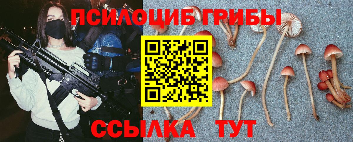 Прокопьевск  где можно купить наркотик  Вход с VPN  Псилоцибиновые грибы Psilocybine cubensis 
